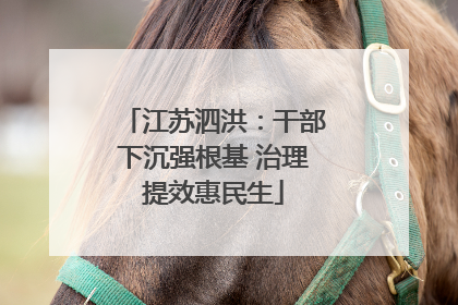 江苏泗洪：干部下沉强根基 治理提效惠民生