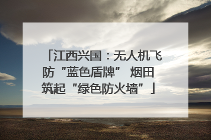 江西兴国：无人机飞防“蓝色盾牌” 烟田筑起“绿色防火墙”