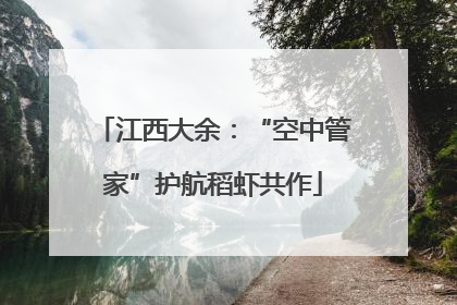 江西大余：“空中管家”护航稻虾共作