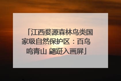 江西婺源森林鸟类国家级自然保护区：百鸟鸣青山 翩跹入画屏