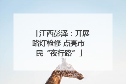 江西彭泽：开展路灯检修 点亮市民“夜行路”