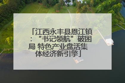 江西永丰县恩江镇：“书记领航”破困局 特色产业盘活集体经济新引擎