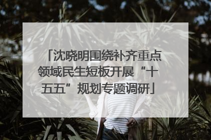 沈晓明围绕补齐重点领域民生短板开展“十五五”规划专题调研