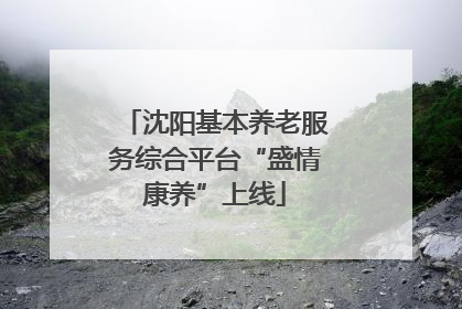 沈阳基本养老服务综合平台“盛情康养”上线