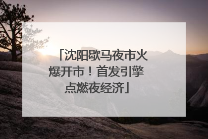 沈阳歇马夜市火爆开市！首发引擎点燃夜经济