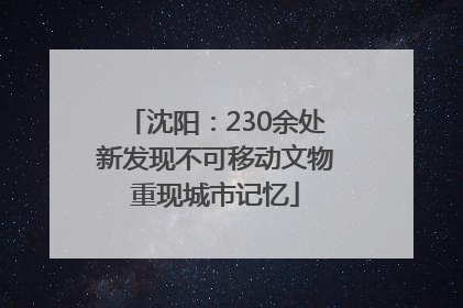 沈阳：230余处新发现不可移动文物重现城市记忆