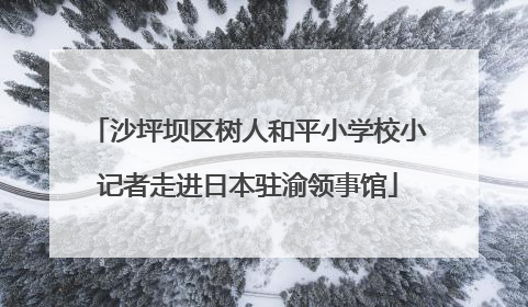 沙坪坝区树人和平小学校小记者走进日本驻渝领事馆