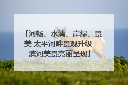 河畅、水清、岸绿、景美 太平河畔景观升级 滨河美景亮丽呈现