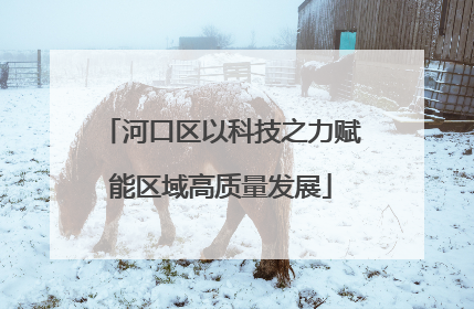 河口区以科技之力赋能区域高质量发展