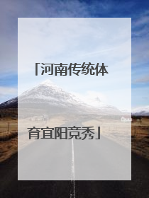 河南传统体育宜阳竞秀
