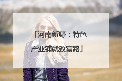 河南新野：特色产业铺就致富路