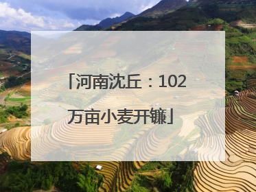 河南沈丘：102 万亩小麦开镰