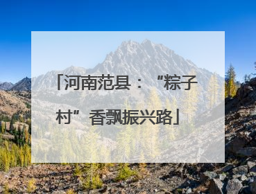 河南范县：“粽子村”香飘振兴路