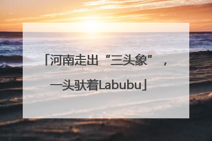 河南走出“三头象”，一头驮着Labubu