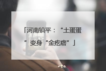 河南镇平：“土蛋蛋”变身“金疙瘩”