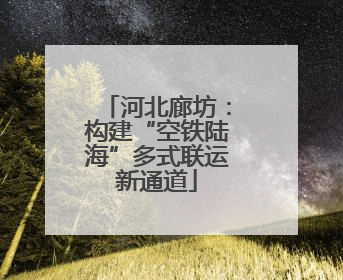 河北廊坊：构建“空铁陆海”多式联运新通道