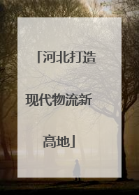 河北打造现代物流新高地