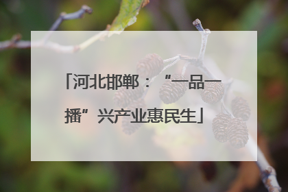 河北邯郸：“一品一播”兴产业惠民生