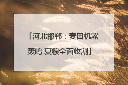 河北邯郸：麦田机器轰鸣 夏粮全面收割