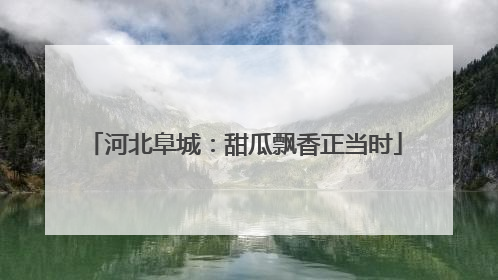 河北阜城：甜瓜飘香正当时