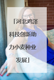 河北鸡泽科技创新助力小麦种业发展