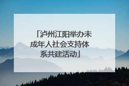 泸州江阳举办未成年人社会支持体系共建活动