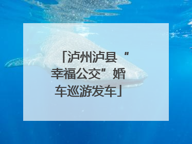 泸州泸县“幸福公交”婚车巡游发车