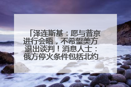 泽连斯基：愿与普京进行会晤，不希望美方退出谈判！消息人士：俄方停火条件包括北约“书面”保证不东扩