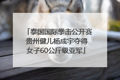 泰国国际拳击公开赛 贵州健儿杨成宇夺得女子60公斤级亚军