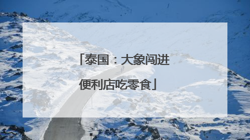 泰国：大象闯进便利店吃零食