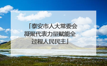泰安市人大常委会凝聚代表力量赋能全过程人民民主
