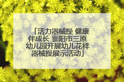 活力器械操 健康伴成长 襄阳市三原幼儿园开展幼儿花样器械操展示活动