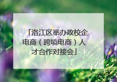 洛江区举办政校企电商（跨境电商）人才合作对接会