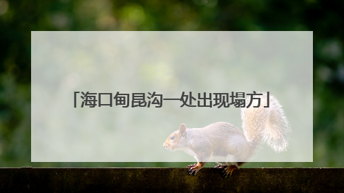 海口甸昆沟一处出现塌方