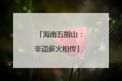 海南五指山：非遗薪火相传