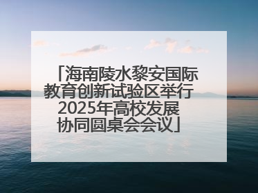 海南陵水黎安国际教育创新试验区举行2025年高校发展协同圆桌会会议