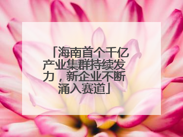 海南首个千亿产业集群持续发力，新企业不断涌入赛道