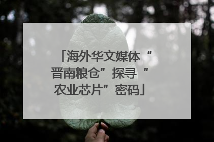 海外华文媒体“晋南粮仓”探寻“农业芯片”密码