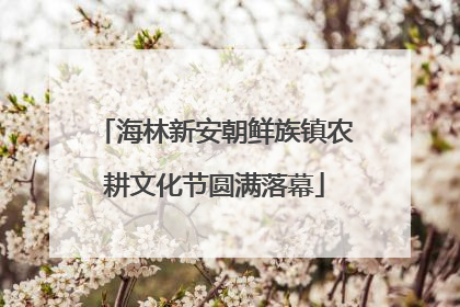 海林新安朝鲜族镇农耕文化节圆满落幕