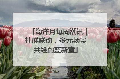 海洋月每周潮讯｜社群联动，多元场景共绘蔚蓝新章