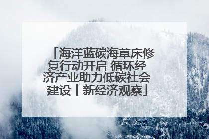 海洋蓝碳海草床修复行动开启 循环经济产业助力低碳社会建设丨新经济观察