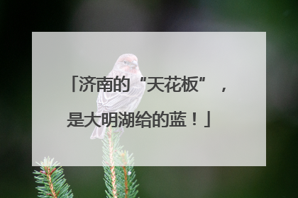 济南的“天花板”，是大明湖给的蓝！