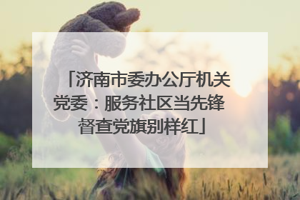 济南市委办公厅机关党委：服务社区当先锋 督查党旗别样红