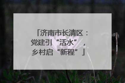 济南市长清区：党建引“活水”，乡村启“新程”