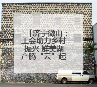 济宁微山：工会助力乡村振兴 鲜美湖产腾“云”起飞