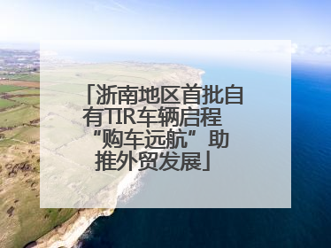 浙南地区首批自有TIR车辆启程 “购车远航”助推外贸发展
