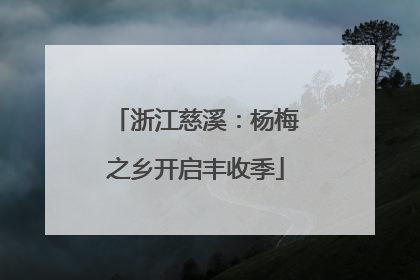 浙江慈溪：杨梅之乡开启丰收季