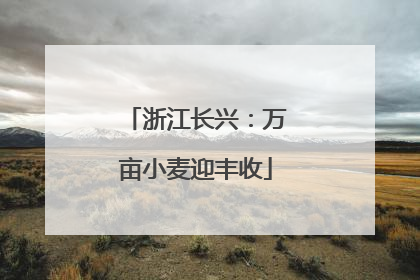 浙江长兴：万亩小麦迎丰收