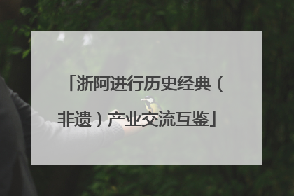 浙阿进行历史经典（非遗）产业交流互鉴