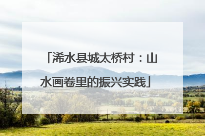 浠水县城太桥村：山水画卷里的振兴实践
